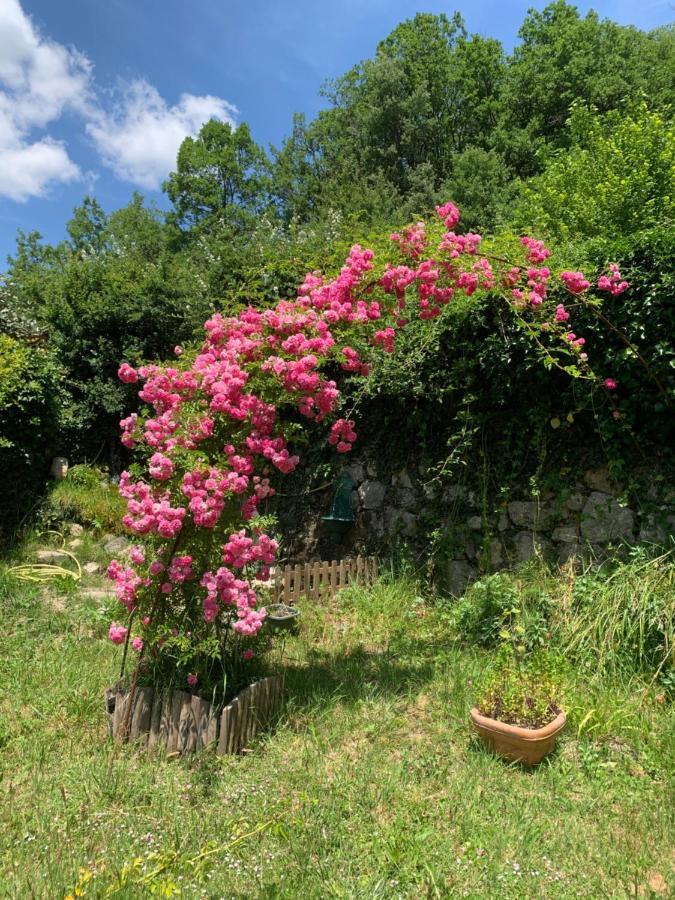 La Moutiere Maison De Vacances Castellane Bagian luar foto